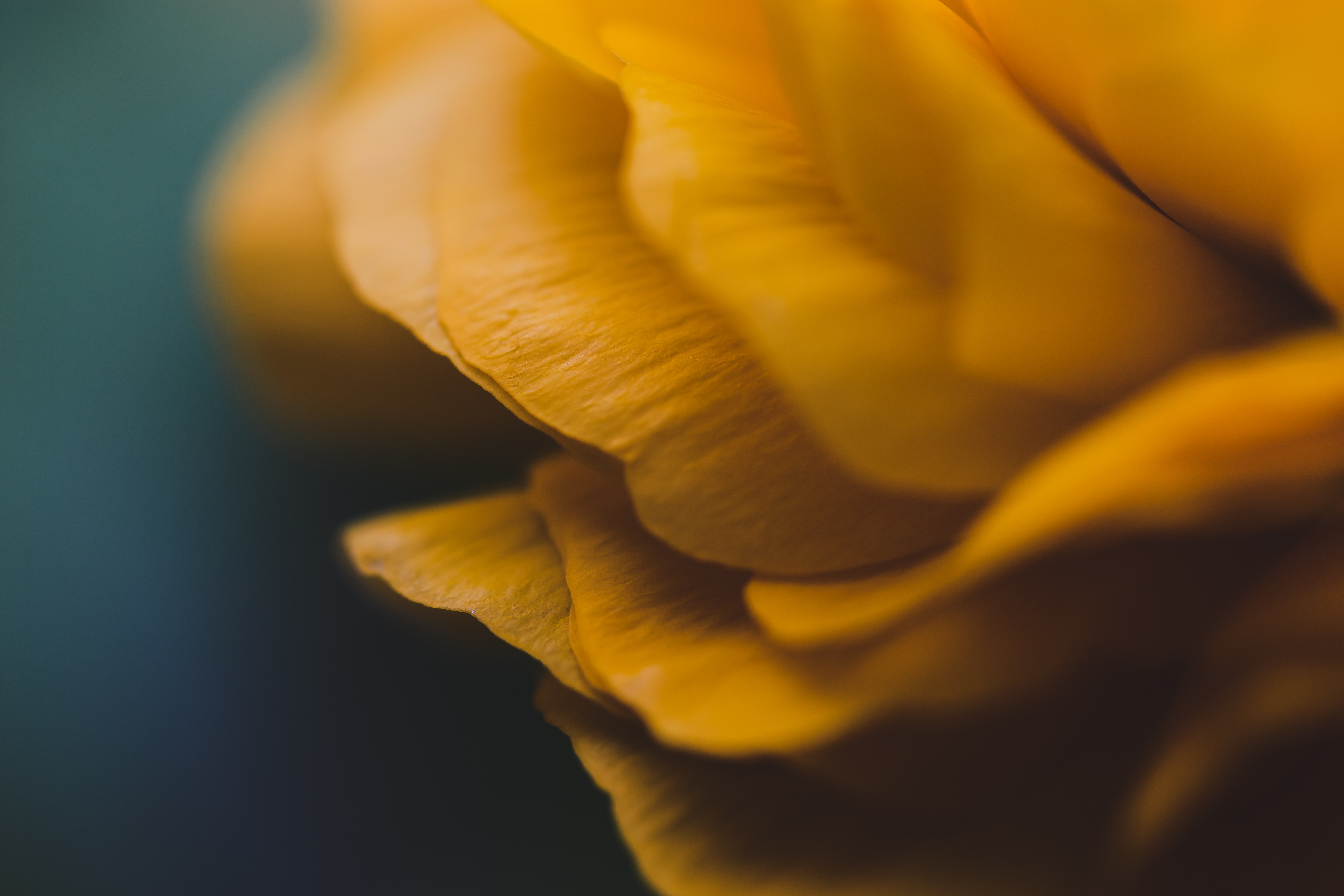 |女怕嫁错郎,男怕入错行,这四种工作不要随便入!