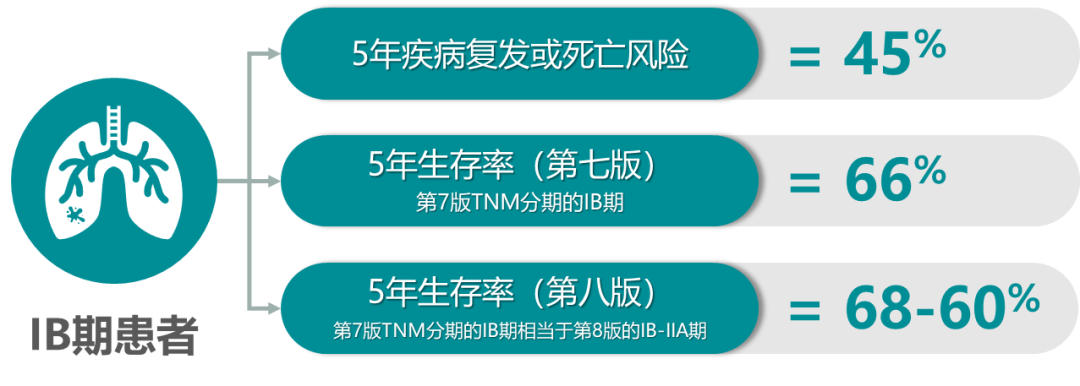 IB期NSCLC术后辅助靶向治疗势在必行
