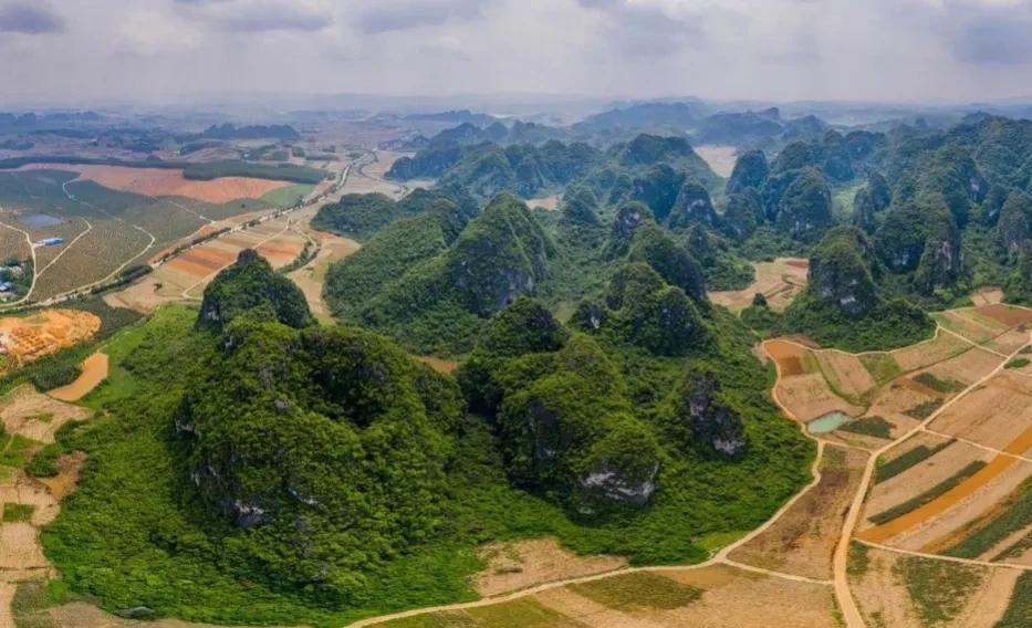 柿子|广西-崇左八景