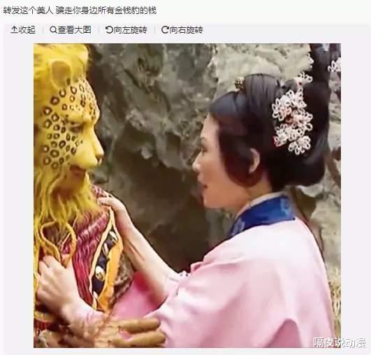 豹子|一夜之间,“金钱豹”刷屏互联网!年轻人为了暴富,究竟有多拼?