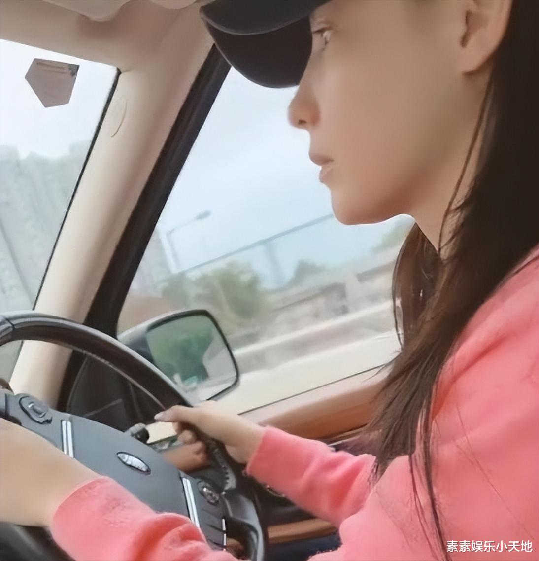 张柏芝|张柏芝给3个儿子做菜：两锅玉米西红柿汤，一家人估计吃不完