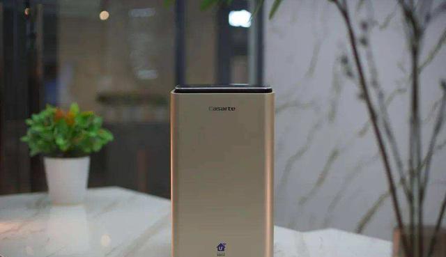 “懒”能给我们的生活带来什么?过去是一团乱麻,现在是惹人羡慕