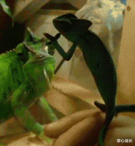 书法|“去领导办公室，看不懂的书法不要乱读，更不能笑！除非忍不住...”