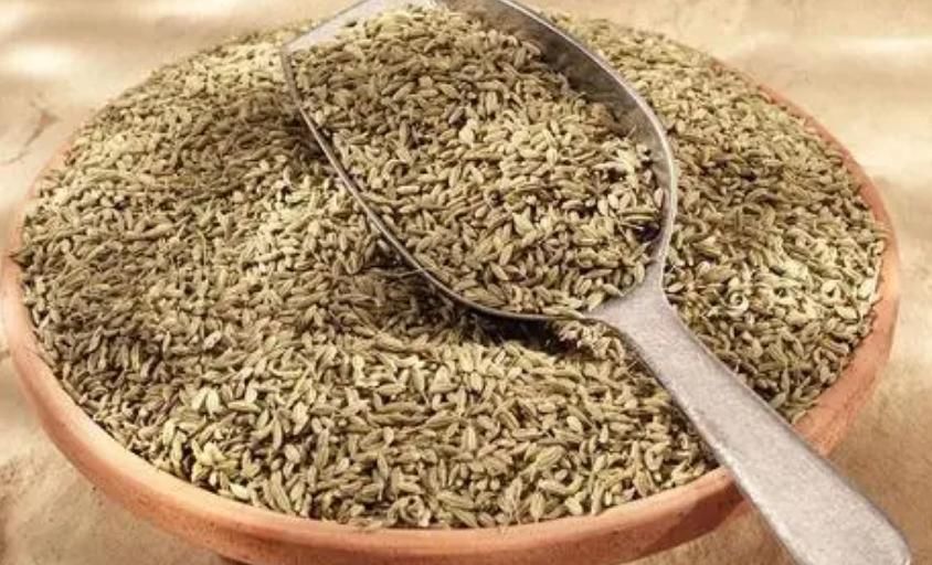 中成药|藏在身边的“阿莫西林”,常吃或能消炎除菌,让你远离慢性咽炎