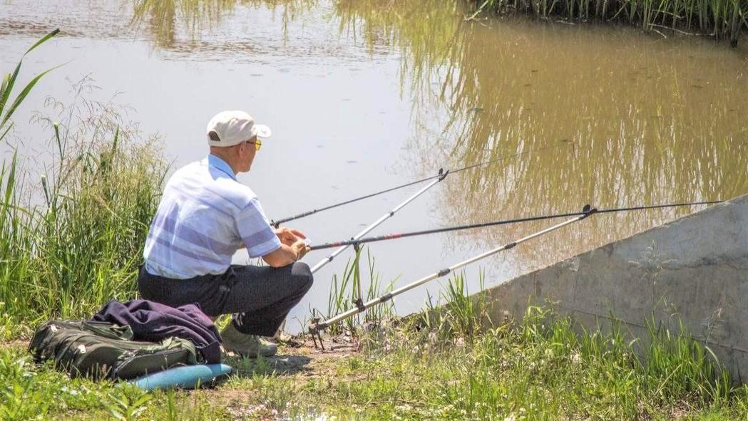 泥鳅|为什么水里有很多的鱼却不咬钩？这些原因没搞懂，想钓到鱼不容易