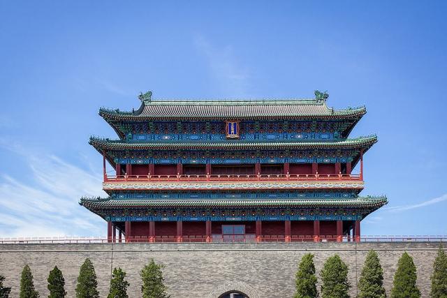 它要怎么睡觉和繁衍后代？这种鸟一生都在飞行，落地约等于死亡