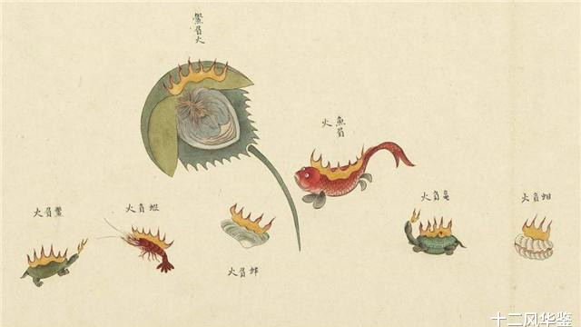清朝生物学家聂璜，画下300多种生物，画中\人鱼\颠覆认知