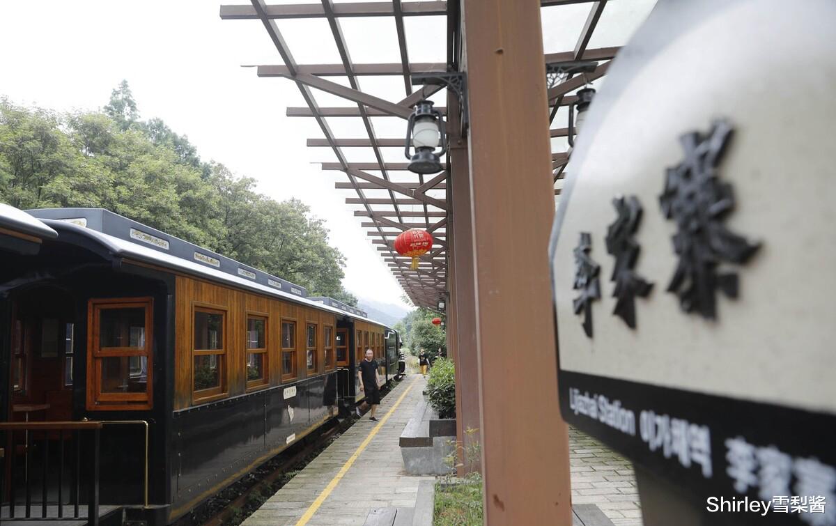 荷花|我国四大避暑胜地之一，距离火炉武汉仅160公里，大佬们曾扎堆在此建别墅