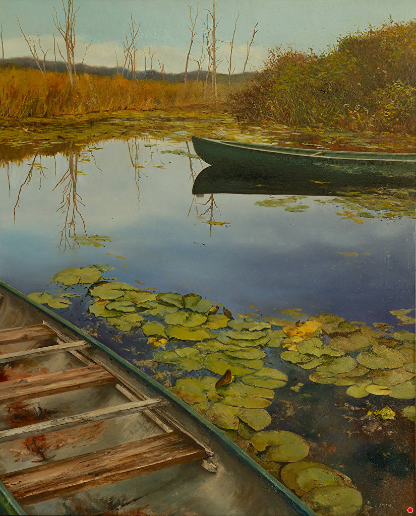 宁静|她的田园风景绮丽多姿,充满阳光给人幸福和宁静的感觉