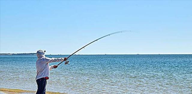 |罕见!男子海钓意外收获一个贝壳,得知身份后现场所有人欢呼不已