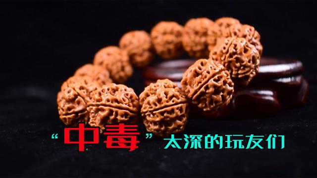 文玩|盘玩金刚菩提,到底是什么原因,让玩友们“中毒”太深