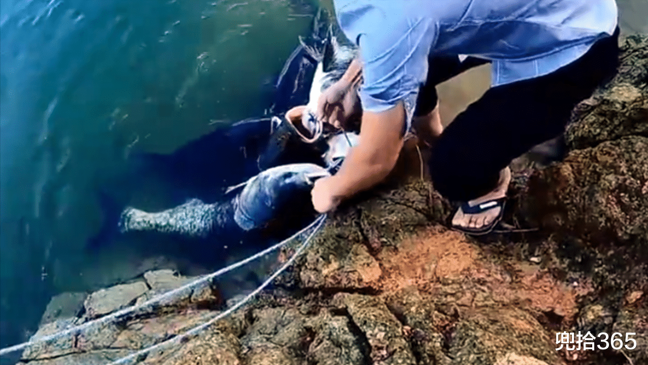 |男子野钓轻松收获6条胖头鱼,制止朋友拍照发朋友圈,网友:自私