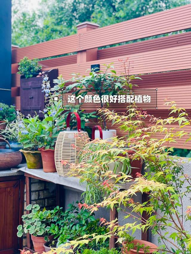 ?花3年时间,折腾一个低维护的小花园,院子这样装太适合懒人了!