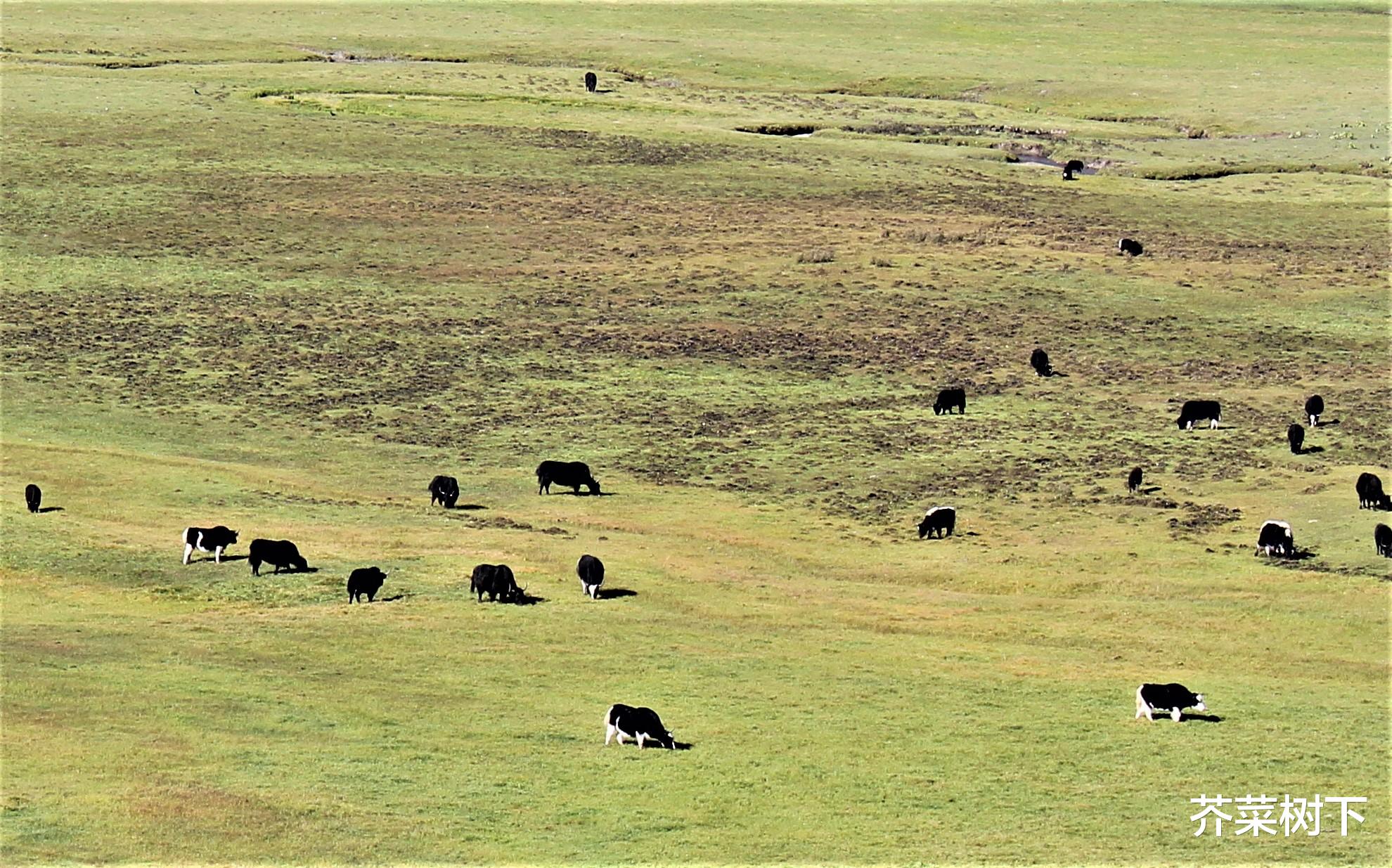 穿衣搭配|少几分预设,多几分快落