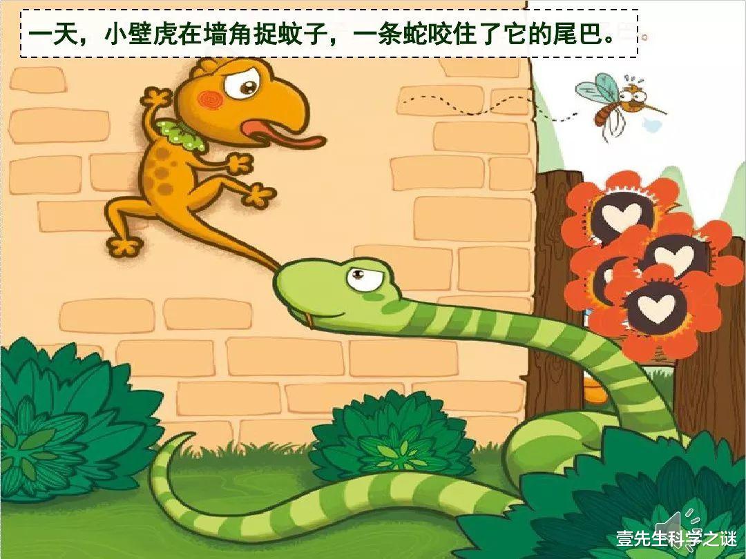 拥有“再生能力”的动物,器官掉了可以再长,或成为残疾人的福音