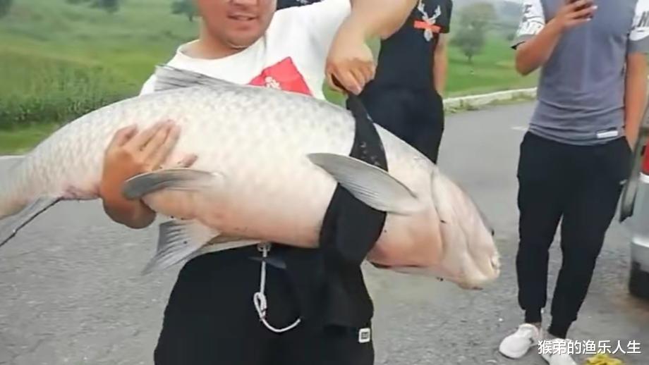 |野河中这五种地方都是“天然鱼窝”大鱼的聚集地，找到就爆连了