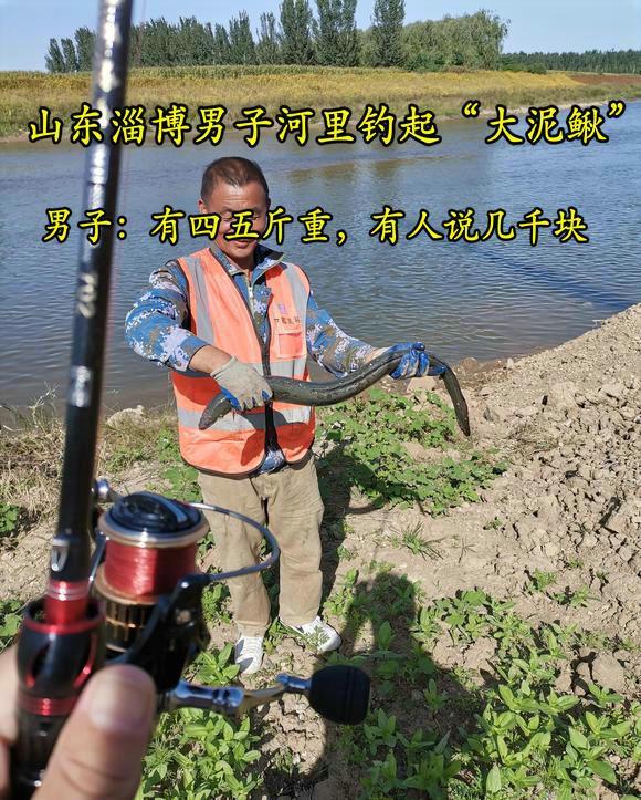 淄博男子河里钓起5斤重“大泥鳅”,男子:没敢要,放生了