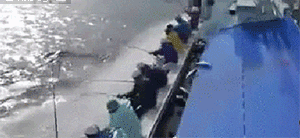 女朋友去西藏出差，走的时候还挺正常，呆了几天后我陷入了沉思