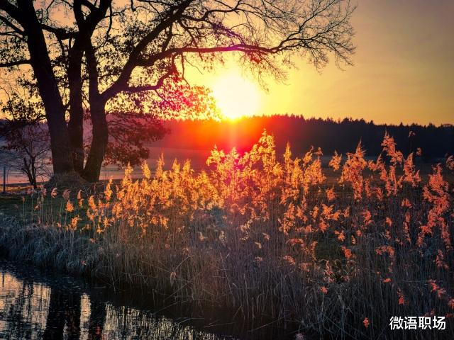 |工作6年,那些越早知道越好的职场经验(建议收藏)