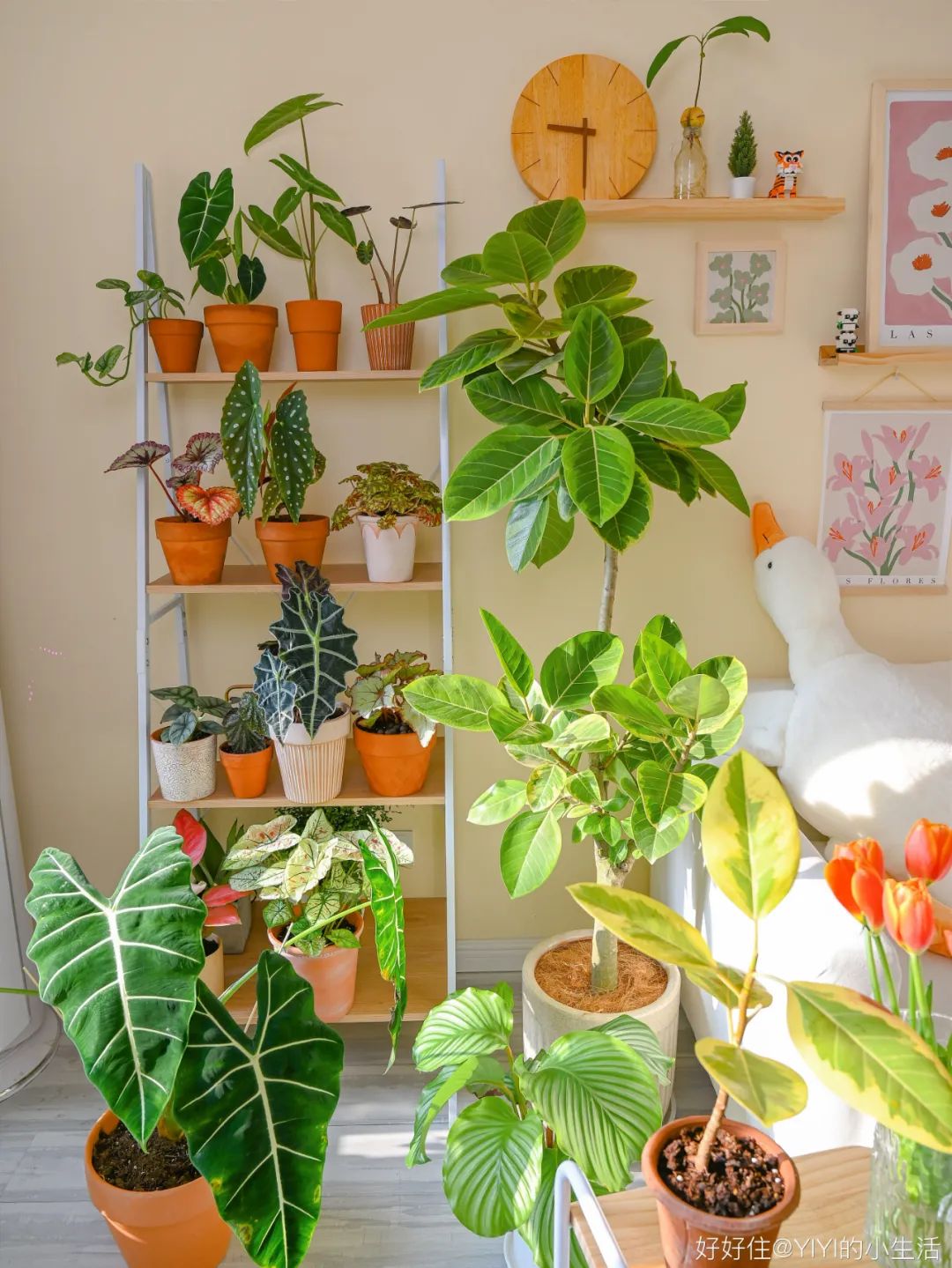 50㎡温馨两居室,小户型布局都该看看她家