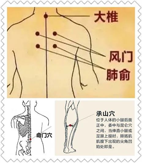 中草药|体内湿气不除,睡眠很难香甜!这篇除湿要诀,一定要牢记~