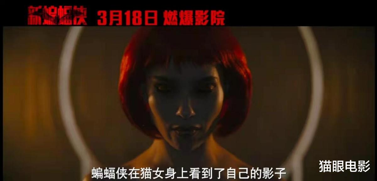 克拉维茨|新蝙蝠侠发布猫女特辑,女主佐伊不认为她是坏人,而是个爱猫人士