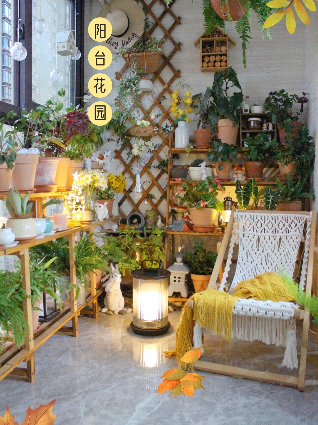 6㎡阳台,低成本布置一个治愈系阳台小花园,享受城市田园乐趣