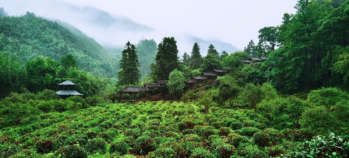 海峰湿地|郭进拴|神奇的瑶里