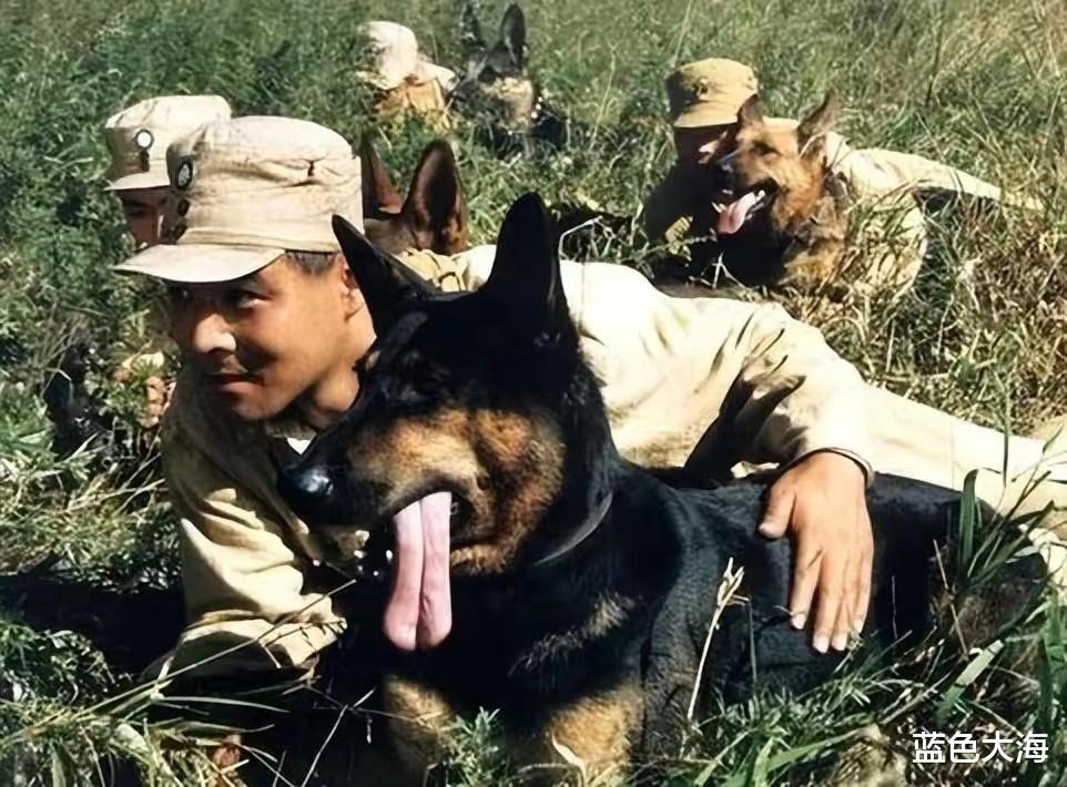 利智|影视剧中令人“胆颤”的假戏真做,是真敬业?还是借戏“霸凌”?