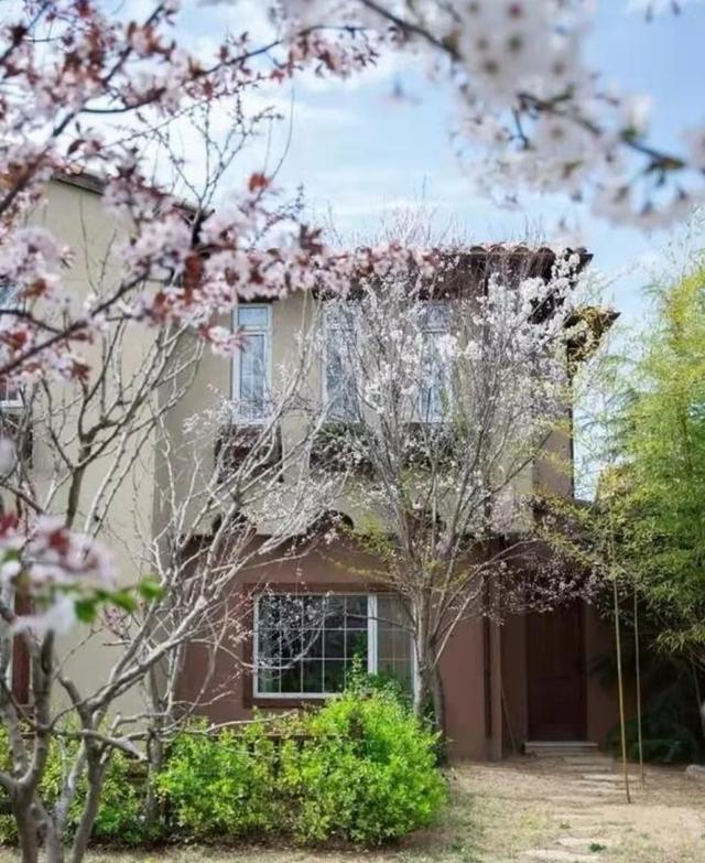 参观郎朗现实的豪宅,每个房间都有钢琴,连楼梯阶梯都是钢琴键