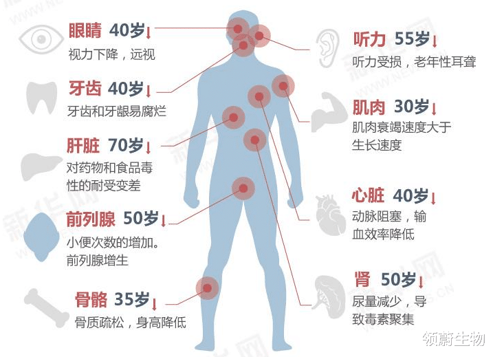 干细胞抗衰老,人到70不再“古来稀”