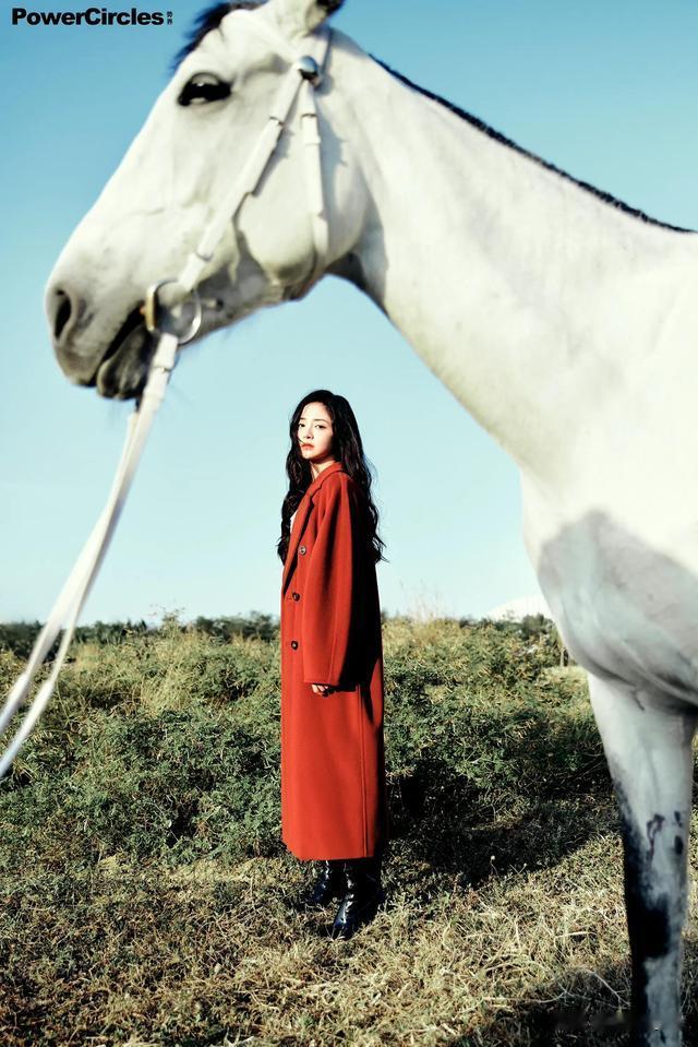 玫瑰|周洁琼红裙写真，玫瑰在冬日盛开