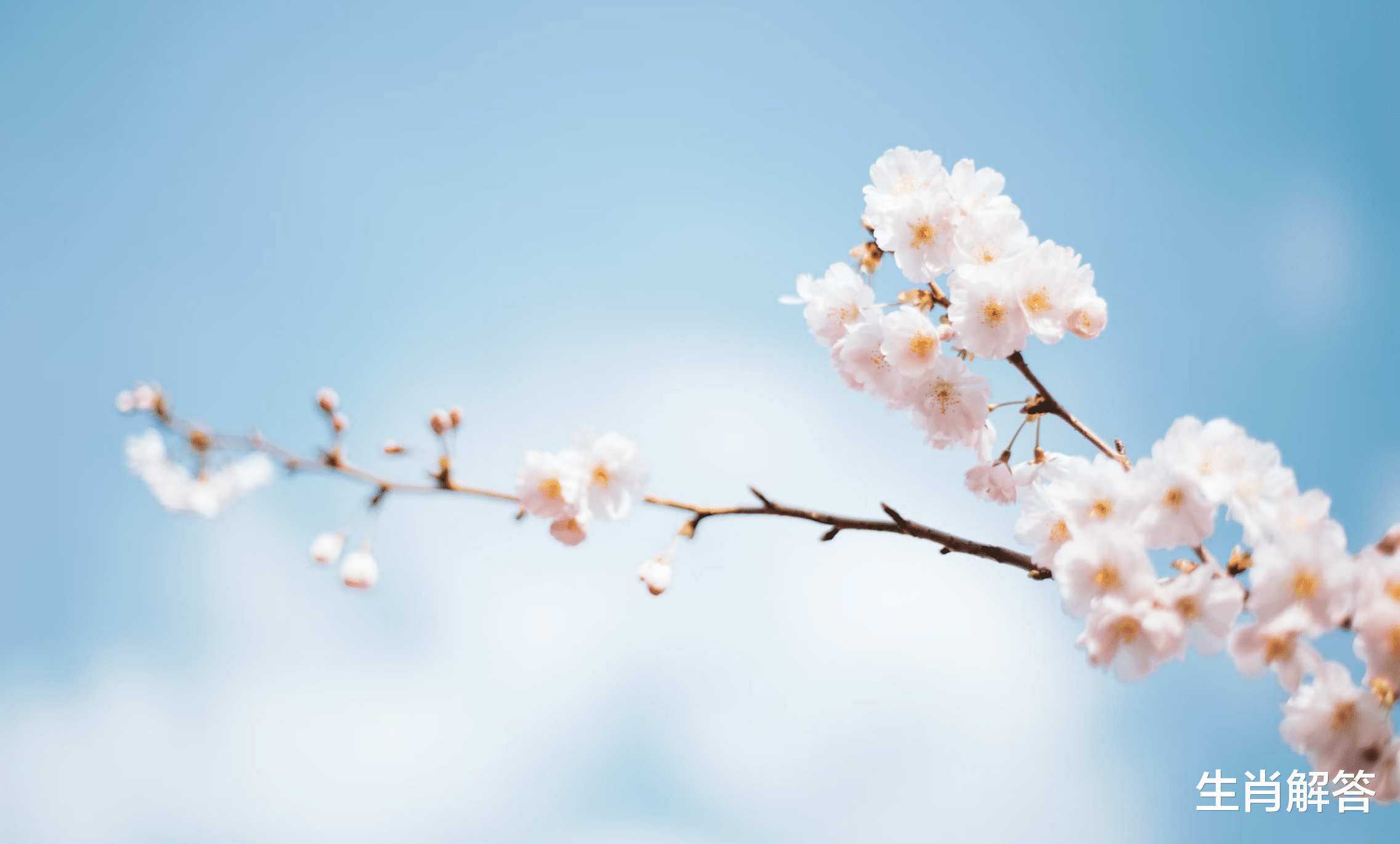 狮子座|从不讨好，只想过好自己日子的星座，不纠结、不计较、不纠缠