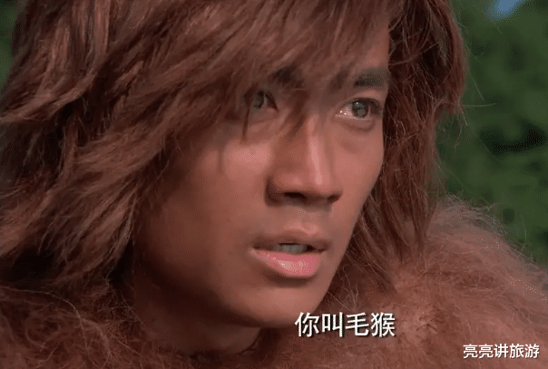 朱一龙|朱一龙,狠狠地打了80后演员的脸!