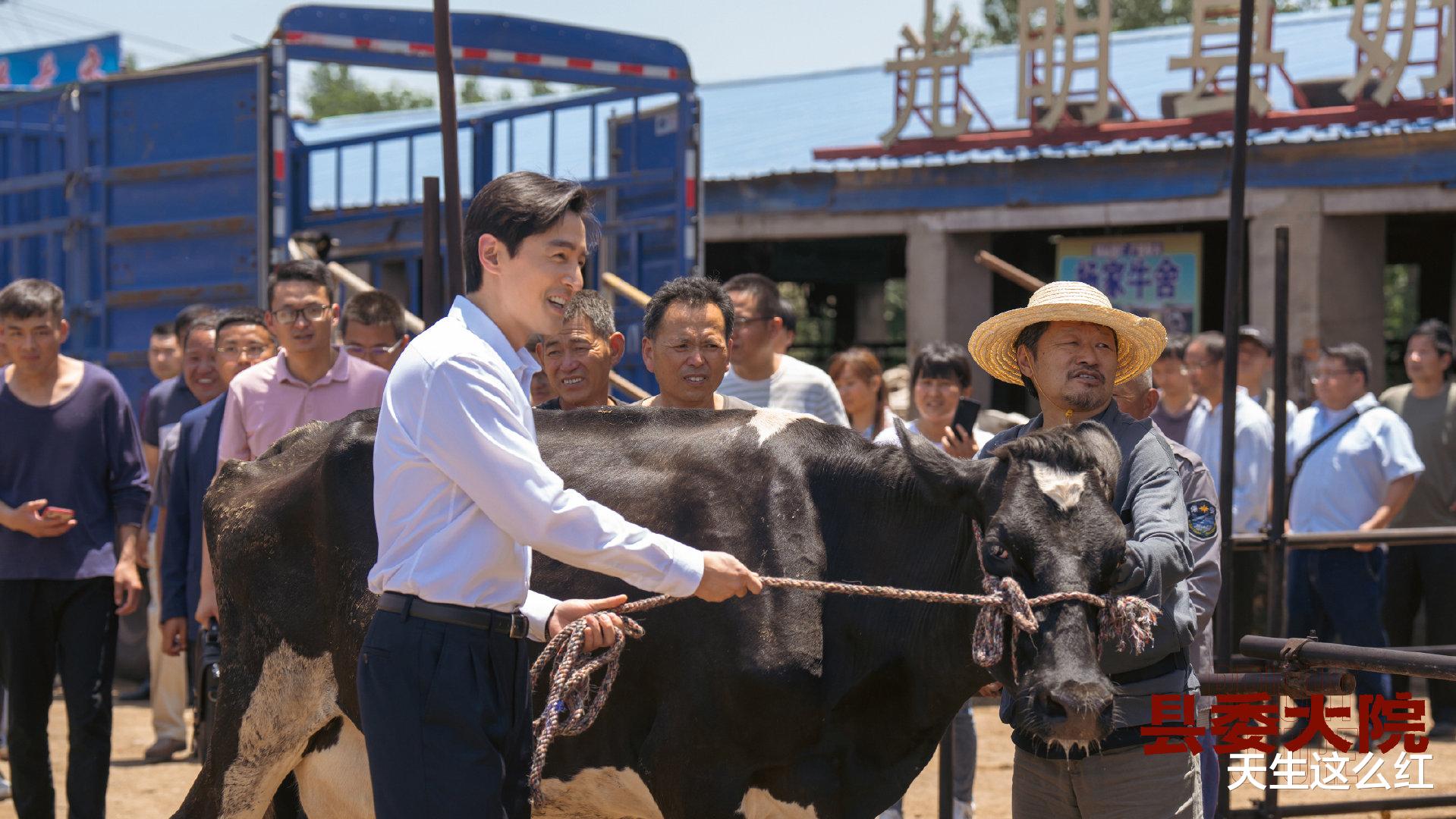 县委书记|县委书记母亲住院还要加床，《县委大院》的剧情究竟扯不扯？