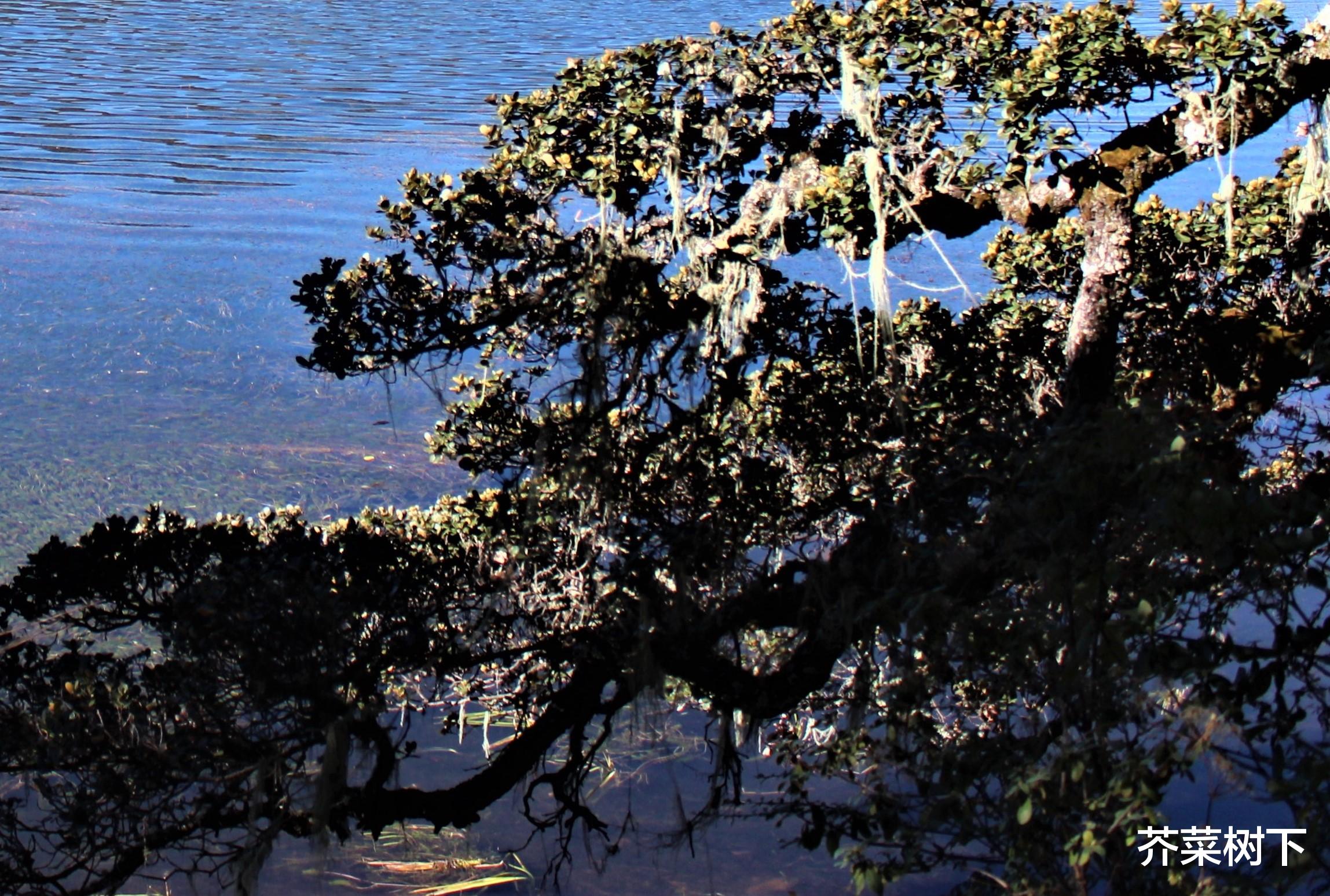 广西|合作，就是一出冒险