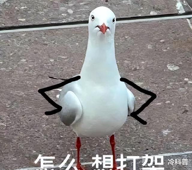 |“公司聚餐我垫付1200元,事后所有人装糊涂”:有些公司真没底线