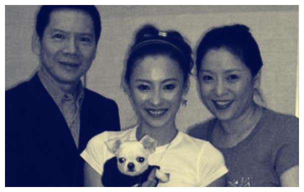 张柏芝|毁掉张柏芝的，不仅仅是艳照门，还有她的恩将仇报和撒谎成性