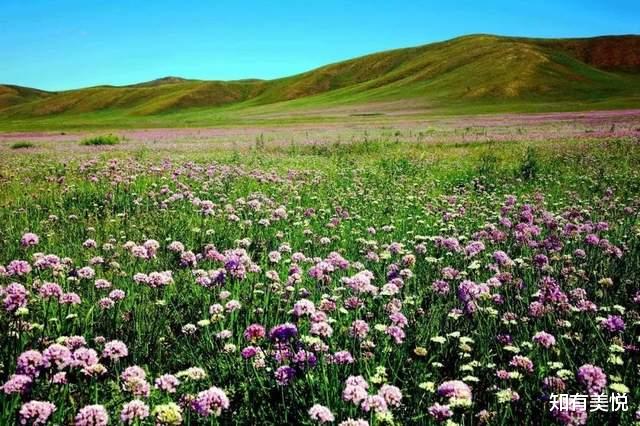 留神|端午好去处!来这14个被上帝偏爱的地方,邂逅一场完美的初夏之旅