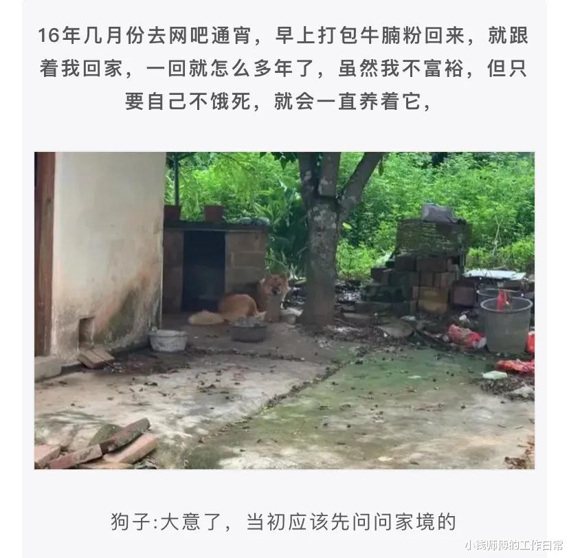 神乐|“手办掉地上三天，保姆捡起来重新组合！”真是画风奇特！