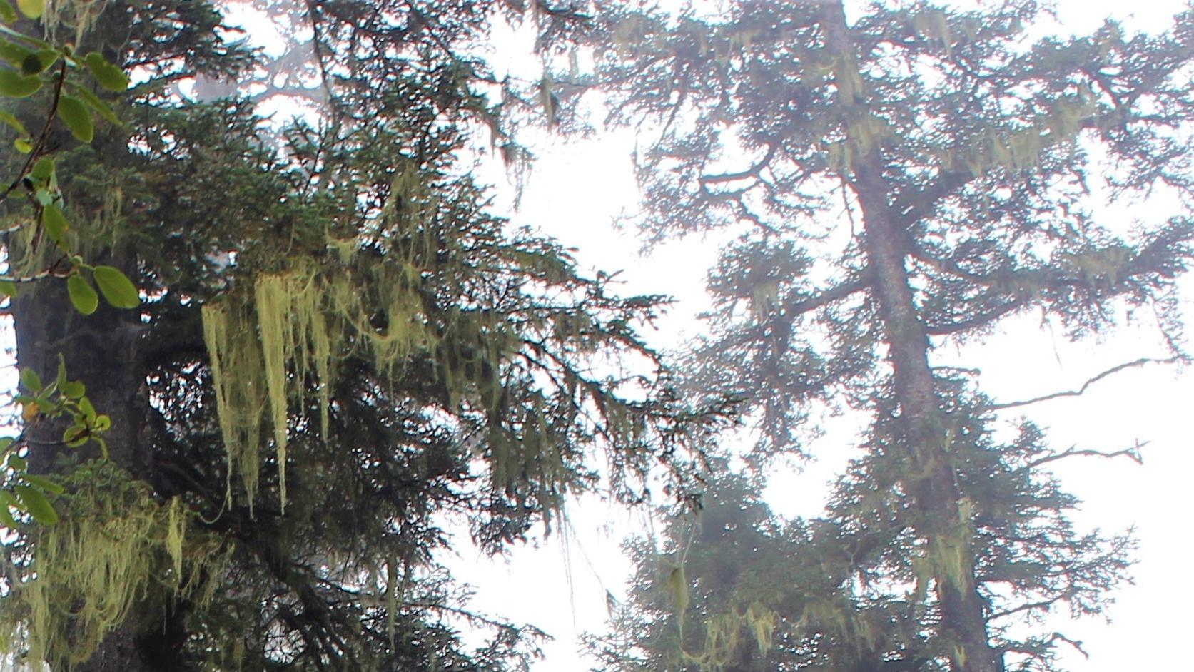 求职|职场敢想敢要，也敢拼