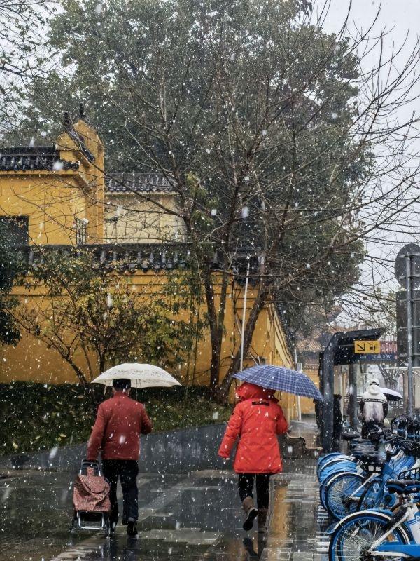 西藏旅游|大雪正纷飞，期盼更美的雪景 | 城市摄影队