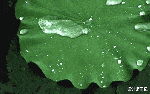 漱口水|和朋友出门旅游才知道，这4样东西真实用，行李多挤挤也要放