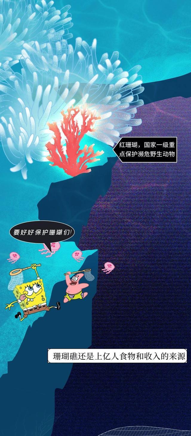 我在海底,目睹了世上最“残酷”的死亡……(漫画科普)涨知识!