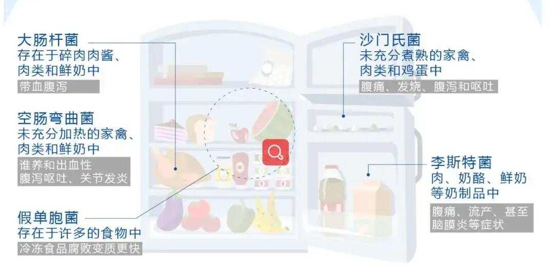 TCL|双11家用冰箱如何选?看这篇准没错 实测保鲜黑科技+三系统超厉害新品冰箱