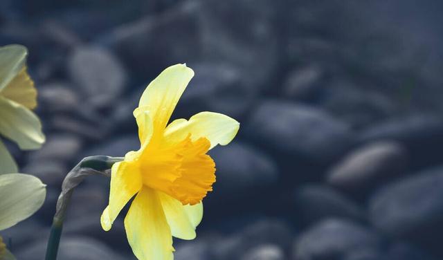 裁员潮|真正聪明的人,早就戒掉了无效社交