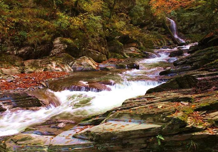 安徽|陕西又一4A景区走红，风景优美植被茂密，堪称是“生物基因库”