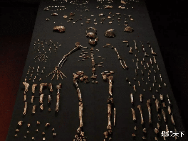人类进化史上这13万年究竟被谁抹去了?为什么人类祖先“凭空蒸发”了这么久?