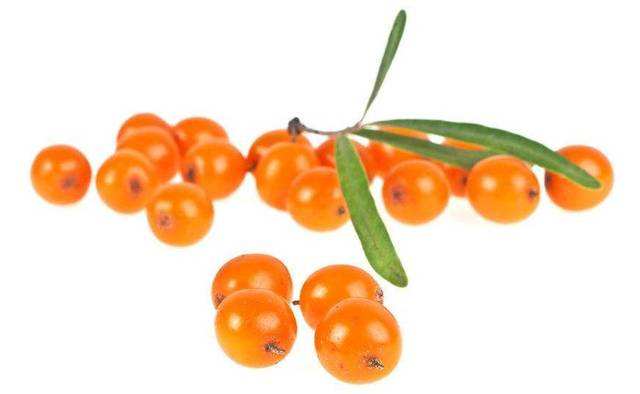 穴位|沙棘的营养成分