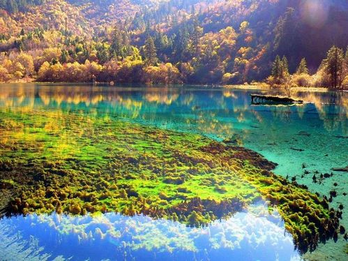 海边|九寨沟位于九寨沟县境内，风景宜人，四季都有不同的体验！